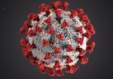 Important information about Coronavirus
