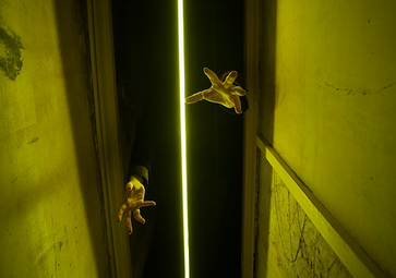 LED Linear™ Lighting Sponsor 2014 of IALD 100W Challenge